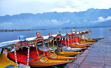 Srinagar Tour